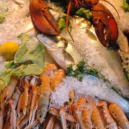 Strada Dei Vini E Dei Sapori Dei Colli Di Rimini Il Pesce Azzurro