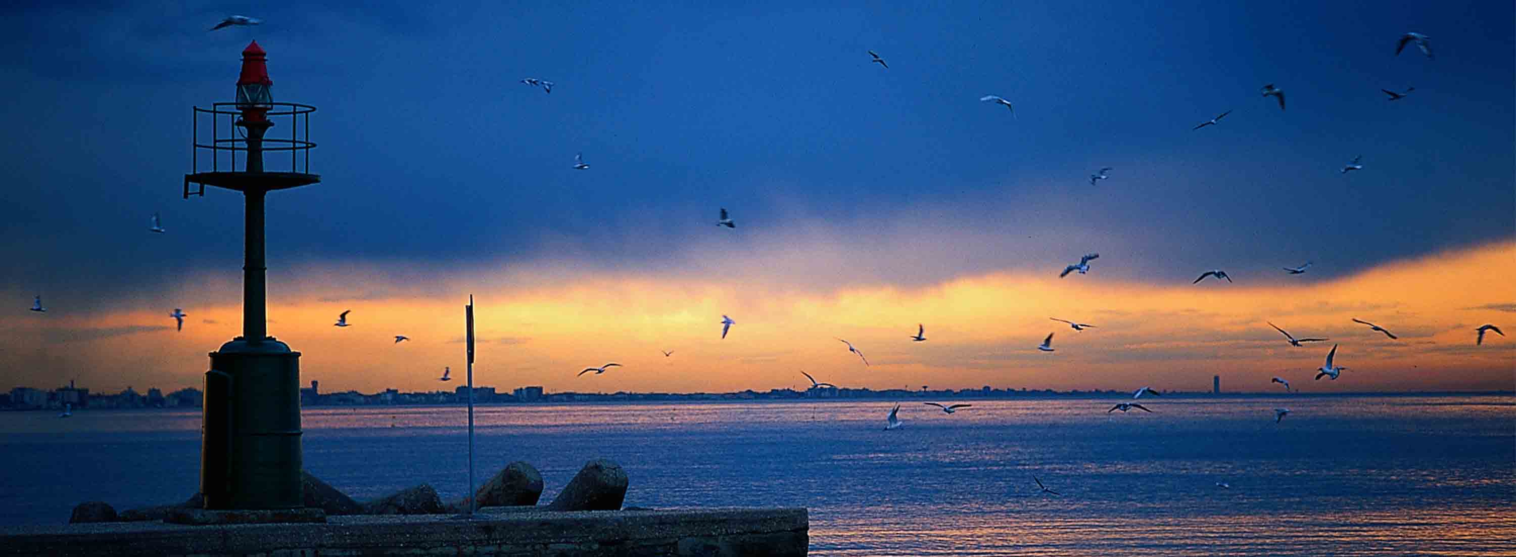 Strada Dei Vini E Dei Sapori Dei Colli Di Rimini Il Pesce Azzurro